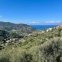 Frane e dissesto, al via il cantiere da 3 milioni per salvare Iannello Inferiore: via libera al consolidamento del versante ovest di Brolo Frane e dissesto, al via il cantiere da 3 milioni per salvare Iannello Inferiore: via libera al consolidamento del versante ovest di Brolo
