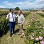 Basilicata, al via il bando per i vivai forestali: Cicala investe sulla qualità per il futuro dei boschi Basilicata, al via il bando per i vivai forestali: Cicala investe sulla qualità per il futuro dei boschi