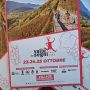 Valle dei Segni Wine Trail 2026, la corsa abbraccia sentieri e vigneti della Valle Camonica