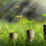 Quali sono i vantaggi per le aziende di adottare gli European Sustainability Reporting Standards (ESRS)