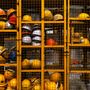 Incidente sul lavoro nel palermitano, 5 morti e un ferito. Necessario un impegno comune sulla questione della sicurezza sul lavoro!