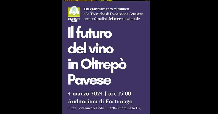 Il futuro del vino in Oltrepò Pavese