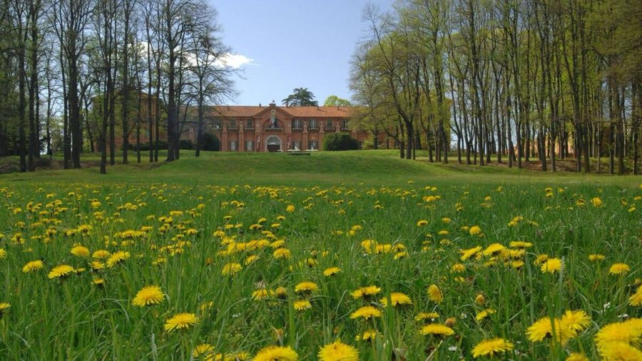 Patrimonio e rinascita: sopralluogo delle Commissioni regionali al Borgo Castello della Mandria