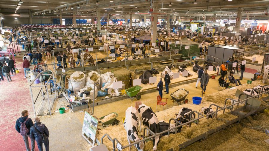 CREMONA: FIERE ZOOTECNICHE INTERNAZIONALI PUNTANO SULLA  FORMAZIONE DI SETTORE DEI GIOVANI