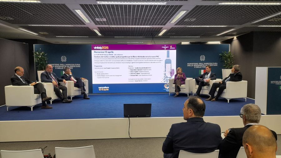 Ismea a Vinitaly: strategie, strumenti e prospettive per il vino italiano