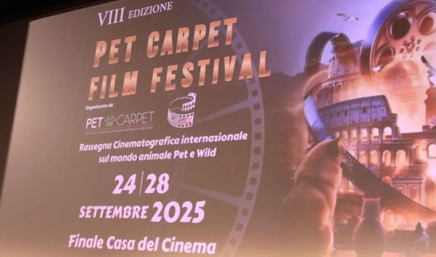 Anas al Pet Carpet Film Festival, impegno per animali e sicurezza Anas al Pet Carpet Film Festival, impegno per animali e sicurezza