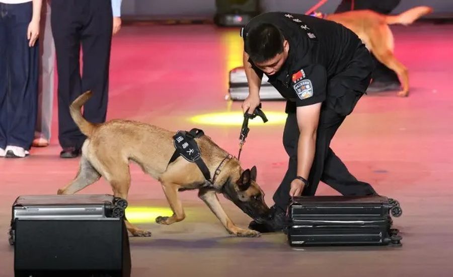 Cina, da inizio anno sequestrate oltre 4 tonnellate di droga alle frontiere Cina, da inizio anno sequestrate oltre 4 tonnellate di droga alle frontiere