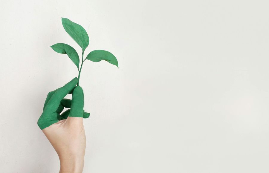 Trasparenza Ambientale: Sfide e Regole contro il Greenwashing nel Mercato Europeo Trasparenza Ambientale: Sfide e Regole contro il Greenwashing nel Mercato Europeo