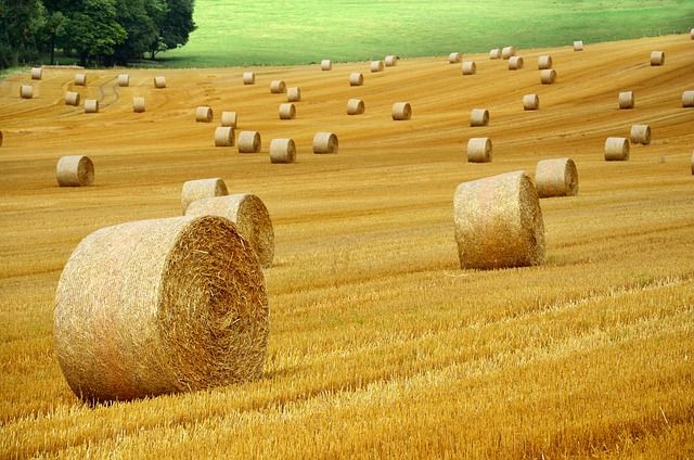 Assemblea a Bruxelles: Confagricoltura presenta documento alle istituzioni europee per cambiare la PAC