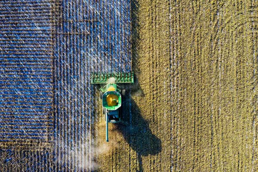 SICILIA - Agricoltura, pubblicato bando da due milioni. L'assessore regionale all'Agricoltura, Salvatore Barbagallo: «Un volano per la crescita delle nostre aziende»
