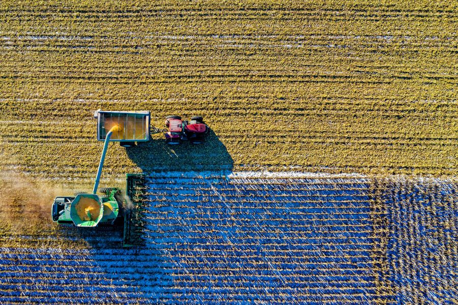 Contratti di sviluppo, riaperto lo sportello per l’agroalimentare