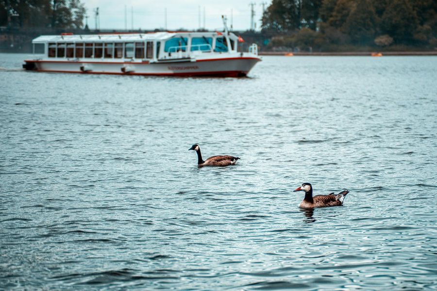 Il turismo lacustre in Lombardia: nuove strategie per valorizzare i laghi e sostenere l’economia territoriale Il turismo lacustre in Lombardia: nuove strategie per valorizzare i laghi e sostenere l’economia territoriale