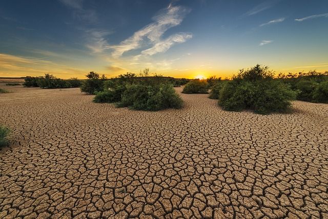 Emergenza idrica nel Sud Italia, Confagricoltura sui dati ANBI: Rischi per agricoltura e turismo