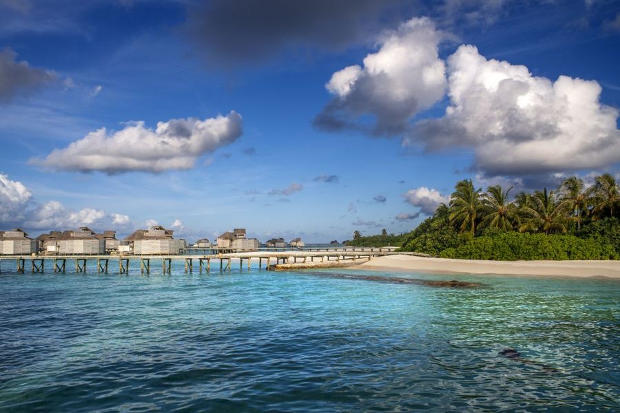 Cinque italiani morti alle Maldive durante un’immersione Cinque italiani morti alle Maldive durante un’immersione