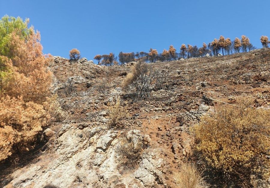Dissesto idrogeologico a Monreale, via libera ai lavori per tre contrade a rischio. Stanziati 5 milioni di euro