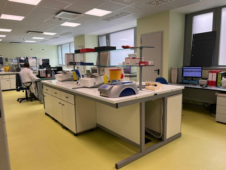 Progetto Plasma 2025-2026