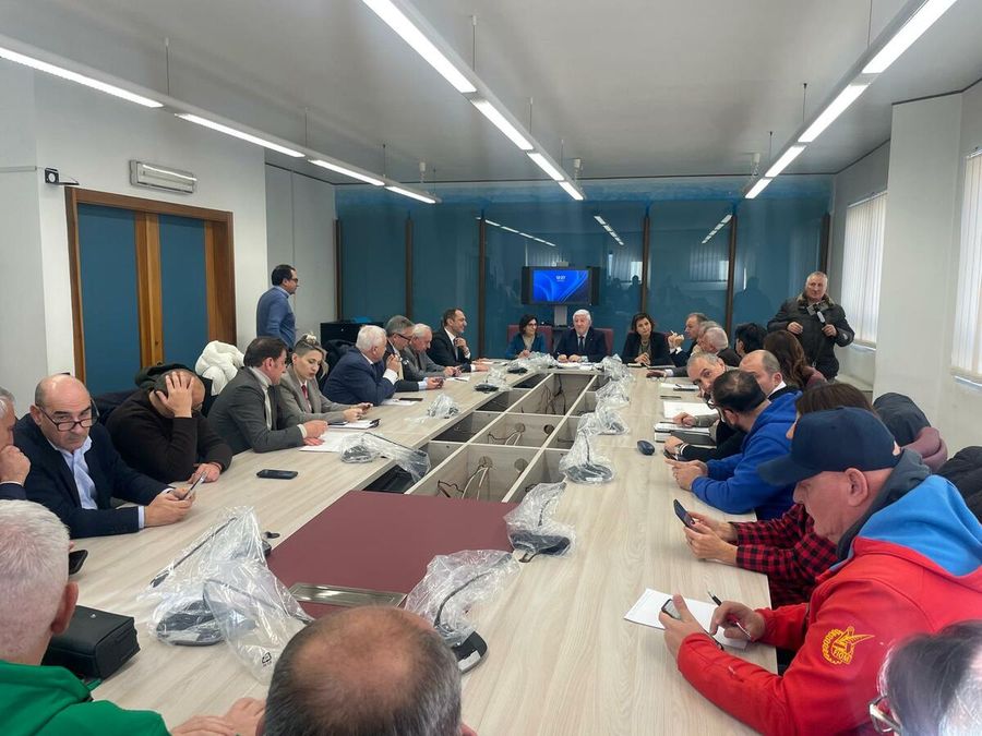 Basilicata in campo per Stellantis e indotto, un “quadro temporaneo di aiuti” al vaglio del governo