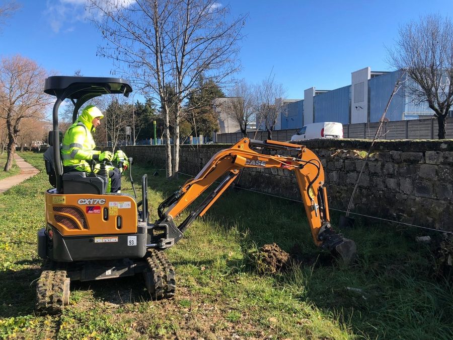 Riqualificazione fluviale lungo il Basento. Messe a dimora 120 nuove piante come compensazione ambientale