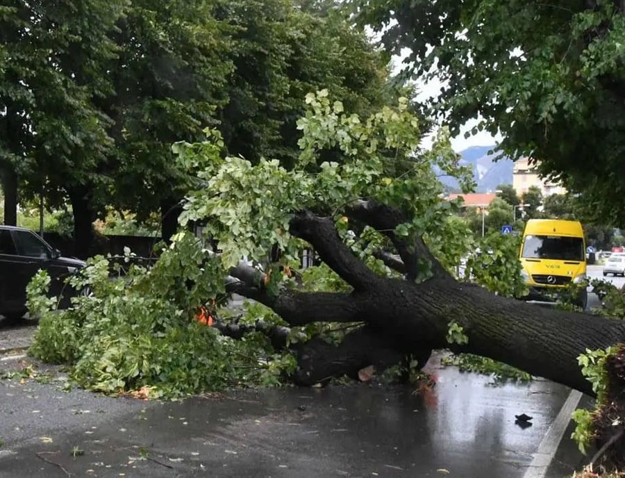 Maltempo in Toscana, 500 persone isolate a Portoferraio Maltempo in Toscana, 500 persone isolate a Portoferraio