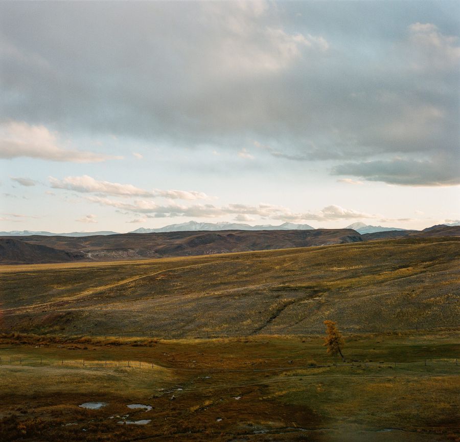 COP15 sulla biodiversità, l'UE è in prima linea nell'attuazione