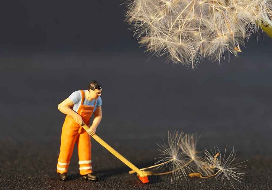 Lavoro domestico: aggiornati i minimi retributivi per il 2025