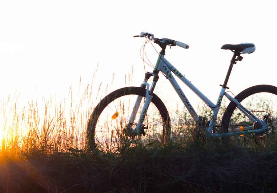 Celebrando la Giornata Mondiale della Bicicletta: Promuovere una Mobilità Sostenibile e Salutare