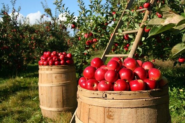 Europa, Agronetwork: servono politiche di partecipazione dalle attività economiche