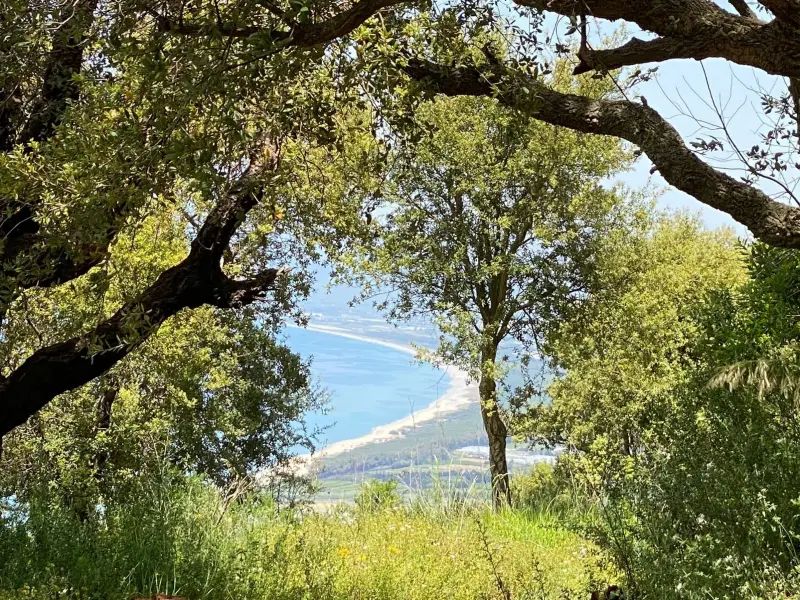 Dal Kalabria coast to coast a Tropea