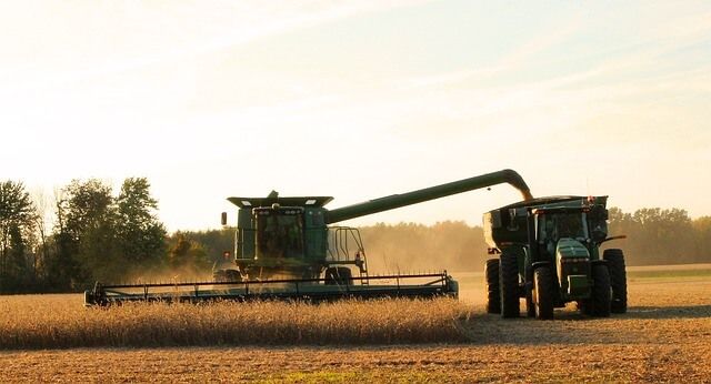 Agricoltura sociale: Al via il bando 2023 per sostenere progetti d'inclusione