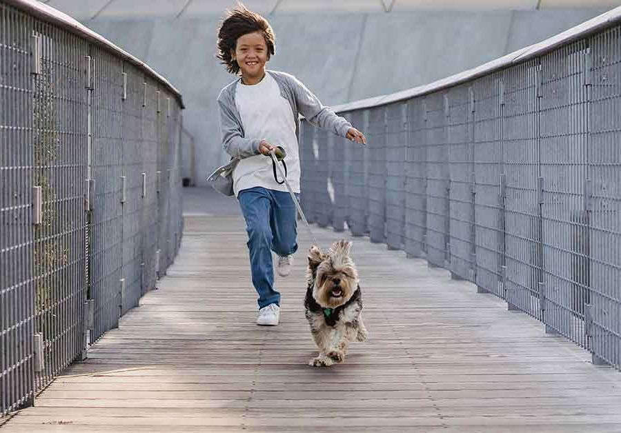 L'Eurobarometro evidenzia quanto sia importante il benessere degli animali per gli europei