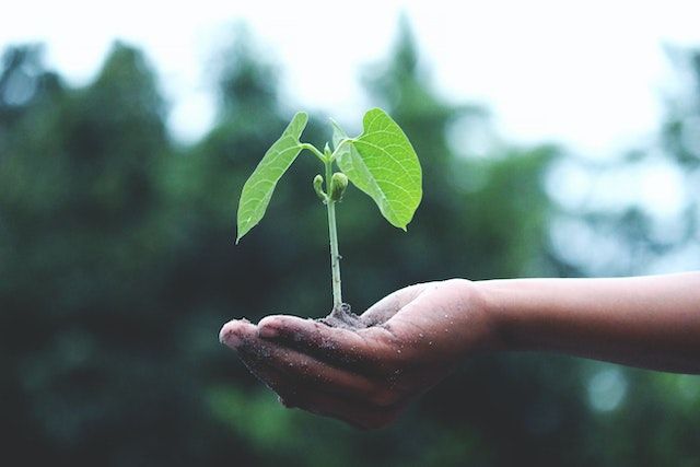 Ecomondo: La Generazione Z riconosce l'impegno del settore agricolo per una produzione più green