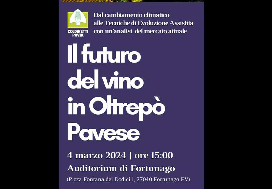Il futuro del vino in Oltrepò Pavese