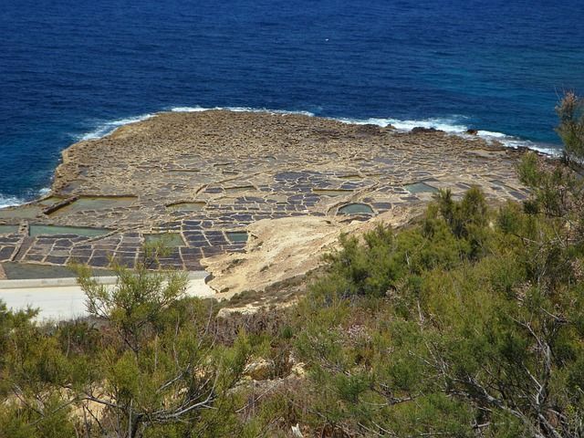 Salicoltura, presentato ad Assemini il progetto di valorizzazione ideato da Confagricoltura e Saline marine italiane