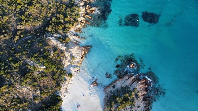 Turismo: Assoturismo-CST. Per giugno attesi 15 milioni di arrivi e 54 milioni di pernottamenti