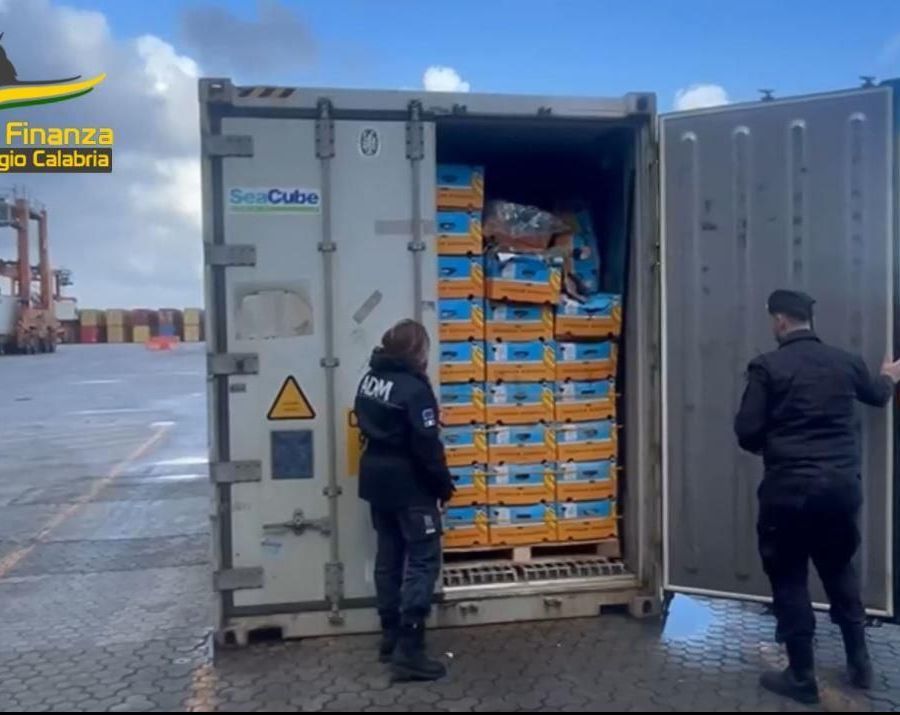 Blitz nel porto di Gioia Tauro, sequestrati oltre 780 chili di cocaina