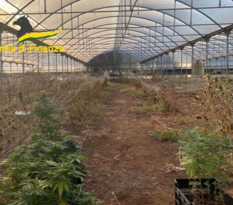 Sequestrati a Bari 610 chili di marijuana, due indagati