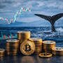 Bitcoin sotto pressione silenziosa: le whale alleggeriscono le posizioni mentre il mercato prova a ripartire Bitcoin sotto pressione silenziosa: le whale alleggeriscono le posizioni mentre il mercato prova a ripartire