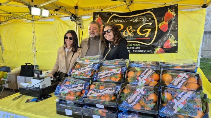 Il Metapontino rilancia l’agroalimentare; fragola IGP e Agrifood centrano l’obiettivo Il Metapontino rilancia l’agroalimentare; fragola IGP e Agrifood centrano l’obiettivo