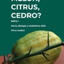 L’ARSAC valorizza il Cedro di Calabria con un nuovo studio del Dott. Gianbattista Sollazzo L’ARSAC valorizza il Cedro di Calabria con un nuovo studio del Dott. Gianbattista Sollazzo