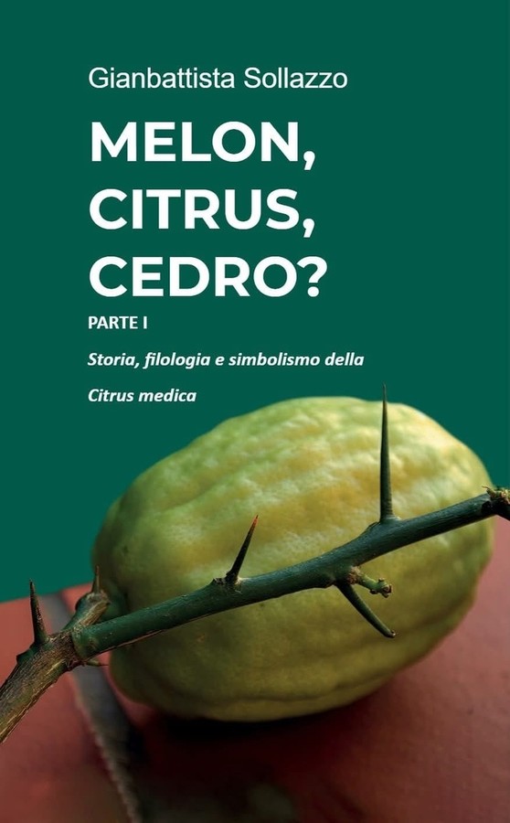 L’ARSAC valorizza il Cedro di Calabria con un nuovo studio del Dott. Gianbattista Sollazzo L’ARSAC valorizza il Cedro di Calabria con un nuovo studio del Dott. Gianbattista Sollazzo
