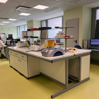 Progetto Plasma 2025-2026