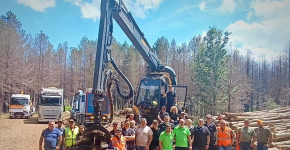 Basilicata, imprese forestali in formazione: innovazione e sostenibilità al centro della strategia regionale Basilicata, imprese forestali in formazione: innovazione e sostenibilità al centro della strategia regionale
