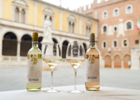 Il Pinot Grigio delle Venezie entra nel Giro d'Italia: sarà l'Official Wine della corsa rosa