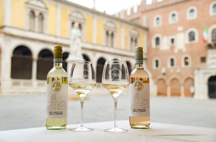 Il Pinot Grigio delle Venezie entra nel Giro d'Italia: sarà l'Official Wine della corsa rosa