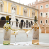 Il Pinot Grigio delle Venezie entra nel Giro d'Italia: sarà l'Official Wine della corsa rosa Il Pinot Grigio delle Venezie entra nel Giro d'Italia: sarà l'Official Wine della corsa rosa