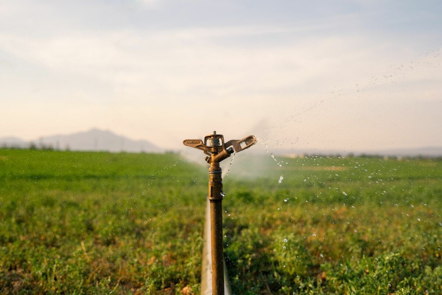 Confagricoltura - Acquacoltura: il caldo colpisce le produzioni. API chiede interventi per superare l'emergenza