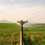 Confagricoltura - Acquacoltura: il caldo colpisce le produzioni. API chiede interventi per superare l'emergenza Confagricoltura - Acquacoltura: il caldo colpisce le produzioni. API chiede interventi per superare l'emergenza