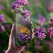 City Nature Challenge 2026, Torino sfida il mondo a colpi di biodiversità urbana