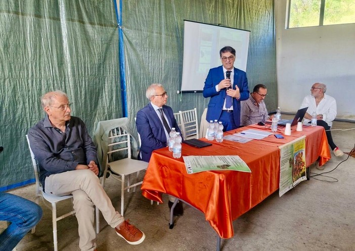 Piante officinali, Cicala: «Una nuova leva di sviluppo per la Basilicata»