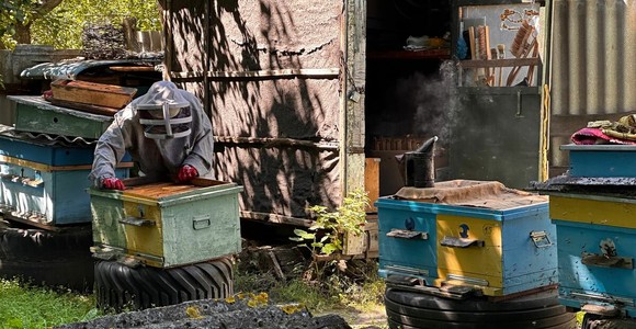 Confagricoltura - Nuova Pac: il settore apistico nazionale invoca un sostegno accoppiato al reddito Confagricoltura - Nuova Pac: il settore apistico nazionale invoca un sostegno accoppiato al reddito